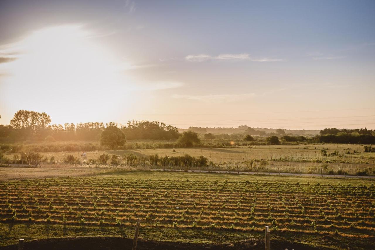 El Legado Wine Lodge Carmelo Εξωτερικό φωτογραφία